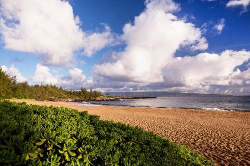 Hotel The Ritz-carlton, Kapalua