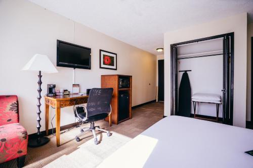 Stay Hotel Waikiki