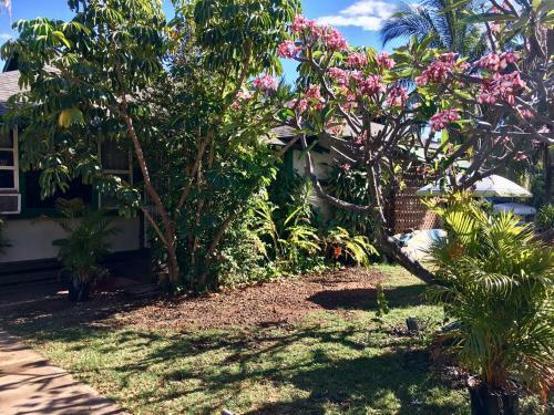 Hakuna Matata Maui Hostel