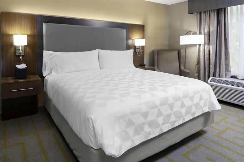 Hotel Holiday Inn Chicago - Countryside/lagrange