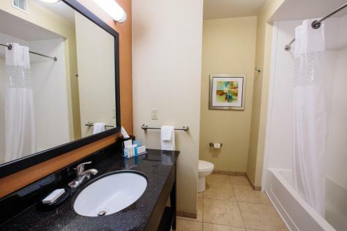 Hotel Hampton Inn & Suites Effingham