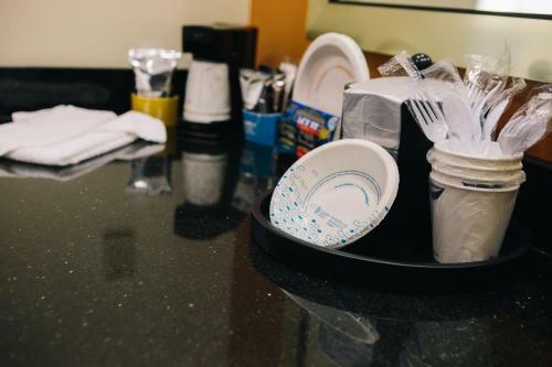 Hotel Hampton Inn & Suites Effingham