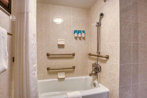 Hotel Drury Inn & Suites St. Louis - Fairview Heights