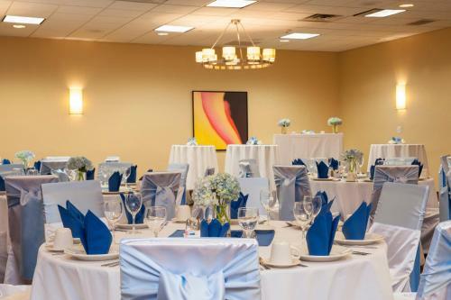 Hotel Holiday Inn Itasca - Woodfield Area