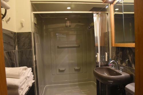 Convention Center Area Apartment