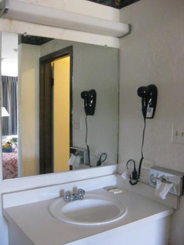 Motel Regency Inn Of Naperville