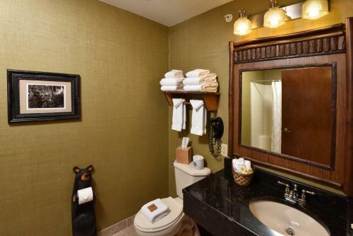 Stoney Creek Hotel And Conference Center - Quincy