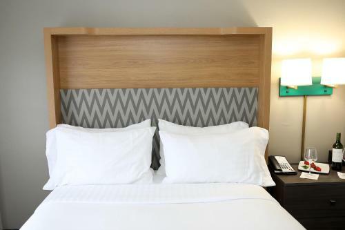 Hotel Holiday Inn O'hare Area