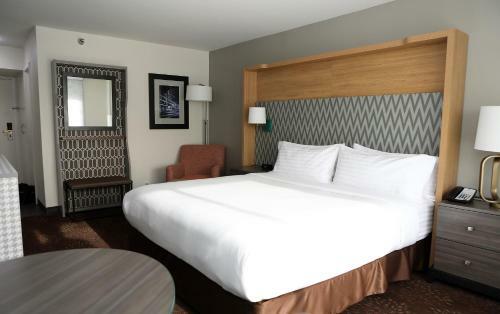Hotel Holiday Inn O'hare Area