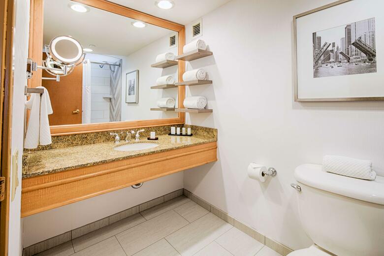 Hotel Embassy Suites Chicago - O'hare Rosemont