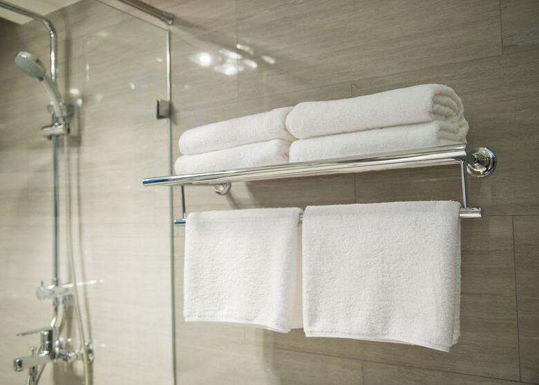 Hotel Hyatt Rosemont Near O'hare