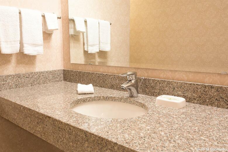 Hotel Drury Inn & Suites Indianapolis Northeast