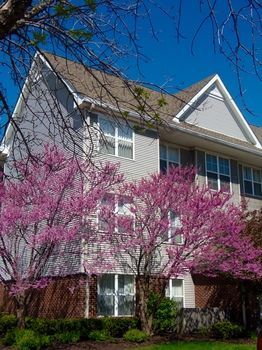 Hotel Residence Inn Indianapolis Airport