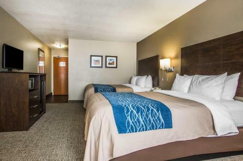 Hotel Comfort Inn And Suites Waterloo