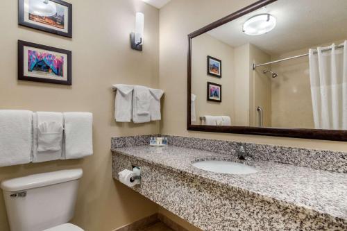 Hotel Comfort Suites Speedway - Kansas City