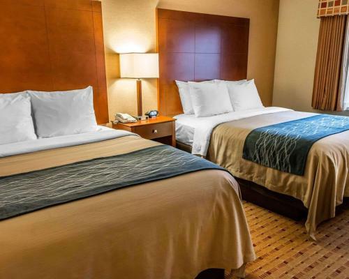 Hotel Comfort Inn And Suites Franklin
