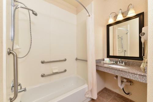 Hotel Comfort Suites Alexandria