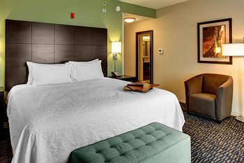 Hotel Hampton Inn And Suites Baton Rouge Downtown