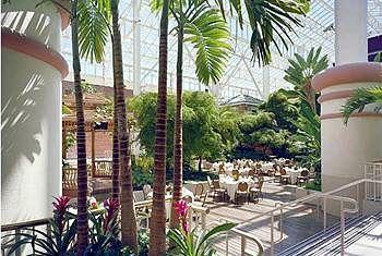 Belle Of Baton Rouge Hotel