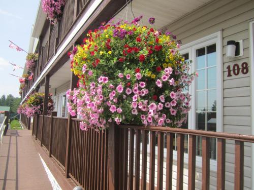Bishops Country Inn Motel