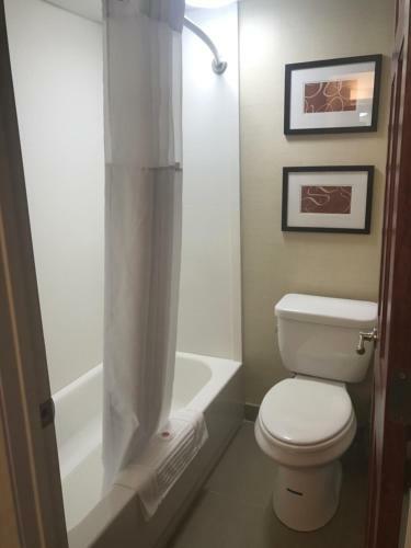 Hotel Comfort Inn South Portland