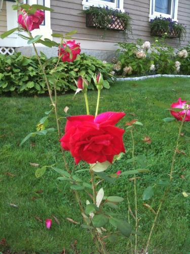 Posada Coast Village Inn And Cottages