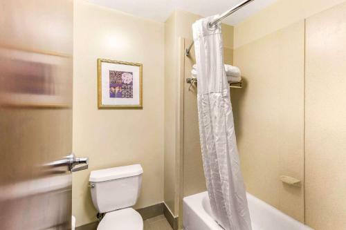 Hotel Comfort Suites Columbia Gateway