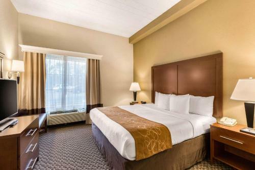 Hotel Comfort Suites Columbia Gateway