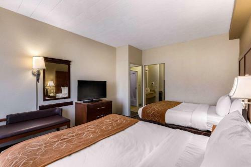 Hotel Comfort Suites Columbia Gateway
