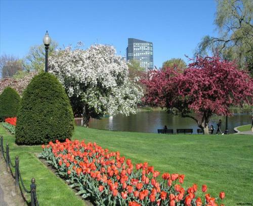 Apartamento 304 Newbury Street By Thatch