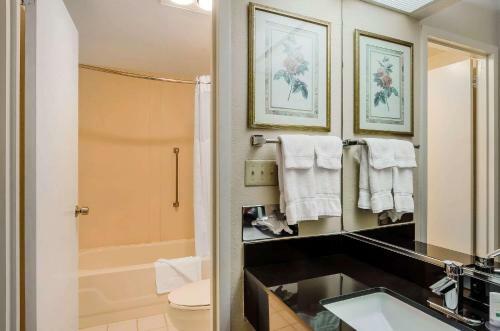 Hotel Quality Inn & Suites - Boston/lexington