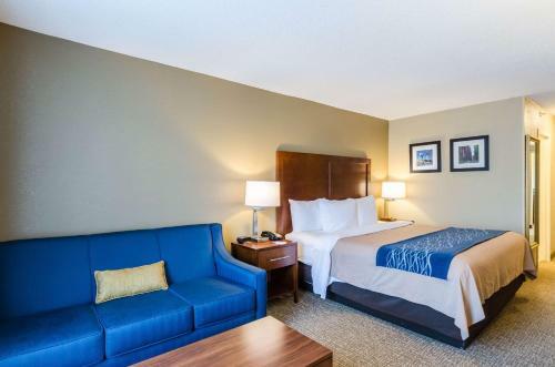 Hotel Comfort Inn Randolph-boston