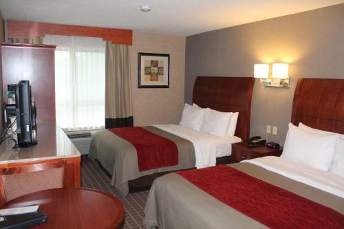 Hotel Comfort Inn & Suites West Springfield
