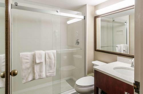 Hotel Comfort Inn & Suites West Springfield