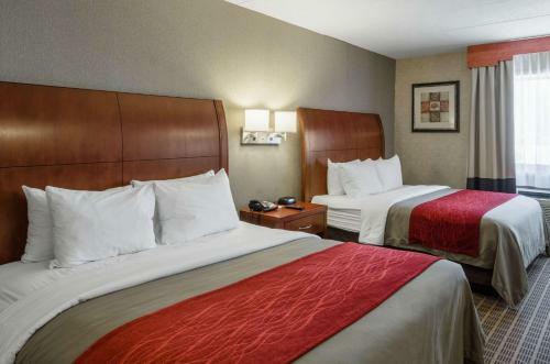 Hotel Comfort Inn & Suites West Springfield