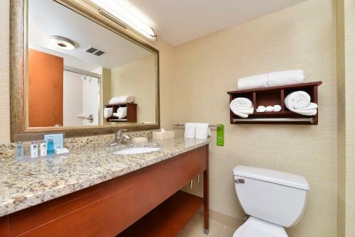 Hotel Hampton Inn Detroit/auburn Hills South