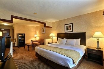Hotel Comfort Suites Grand Rapids North