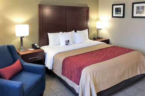 Hotel Comfort Inn Farmington Hills