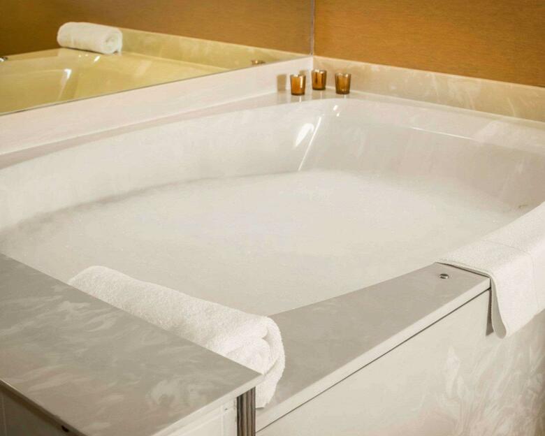 Hotel Comfort Inn Port Huron