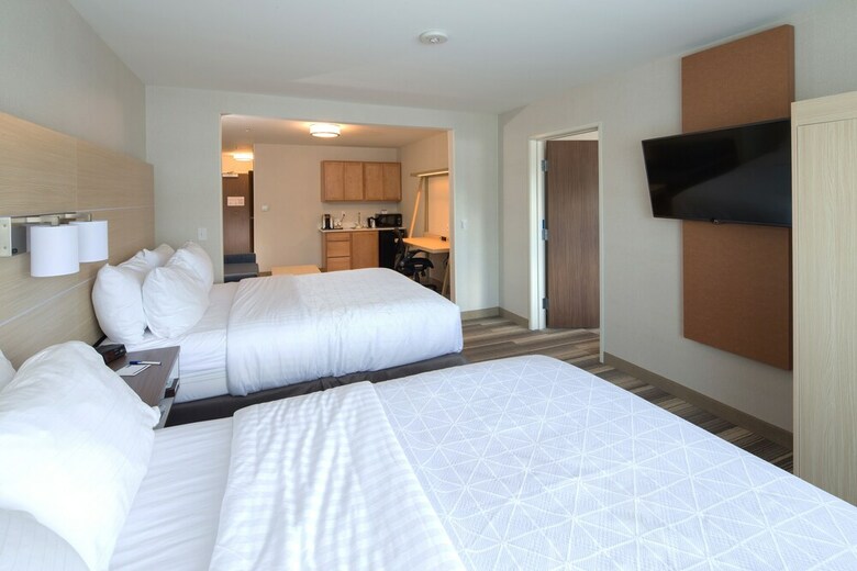 Hotel Holiday Inn Express & Suites Port Huron