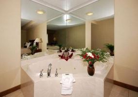 Clarion Hotel Detroit Metro Airport