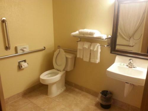 Hotel Country Inn & Suites Saginaw