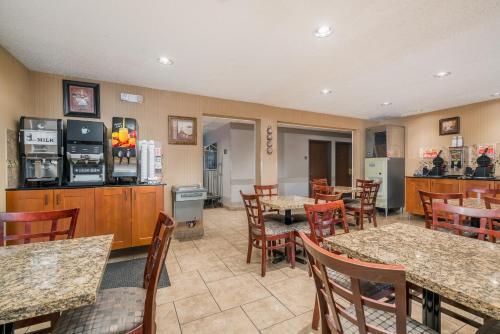 Hotel Microtel Inn And Suites Rochester