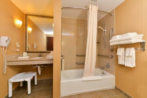 Hotel Comfort Suites Rochester