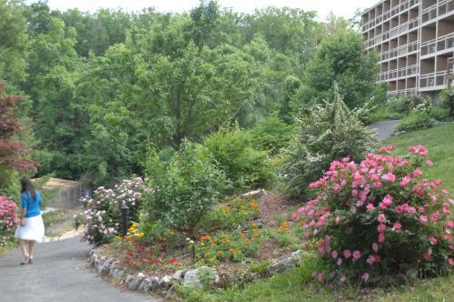 Hotel Inn At Grand Glaize