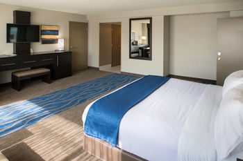 Hotel Holiday Inn St Louis Downtown/convention Center
