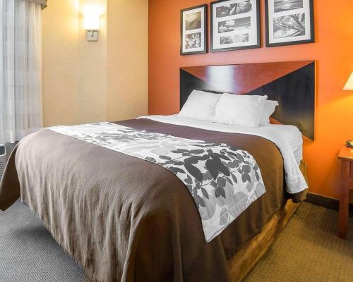 Hotel Sleep Inn Billings