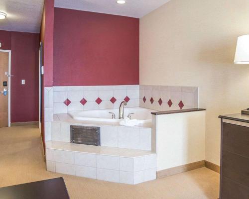 Hotel Comfort Suites Airport Helena