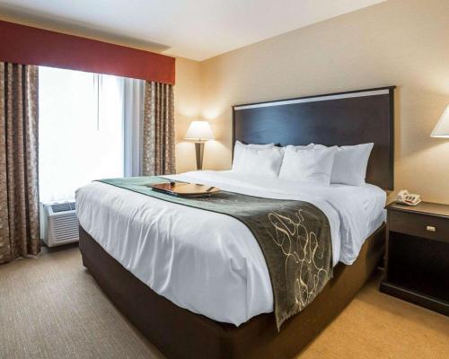 Hotel Comfort Suites Airport Helena