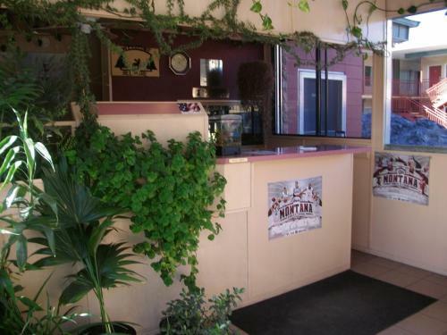 Bel Aire Motel Missoula